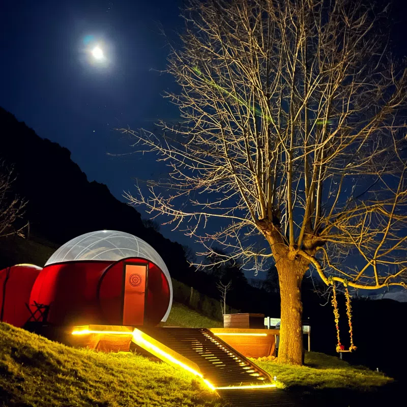 Chulavista Bubble - imagen 5