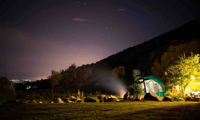 Eco Spirit - imagen 4