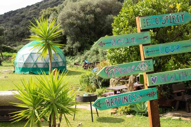 Eco Spirit - imagen 5