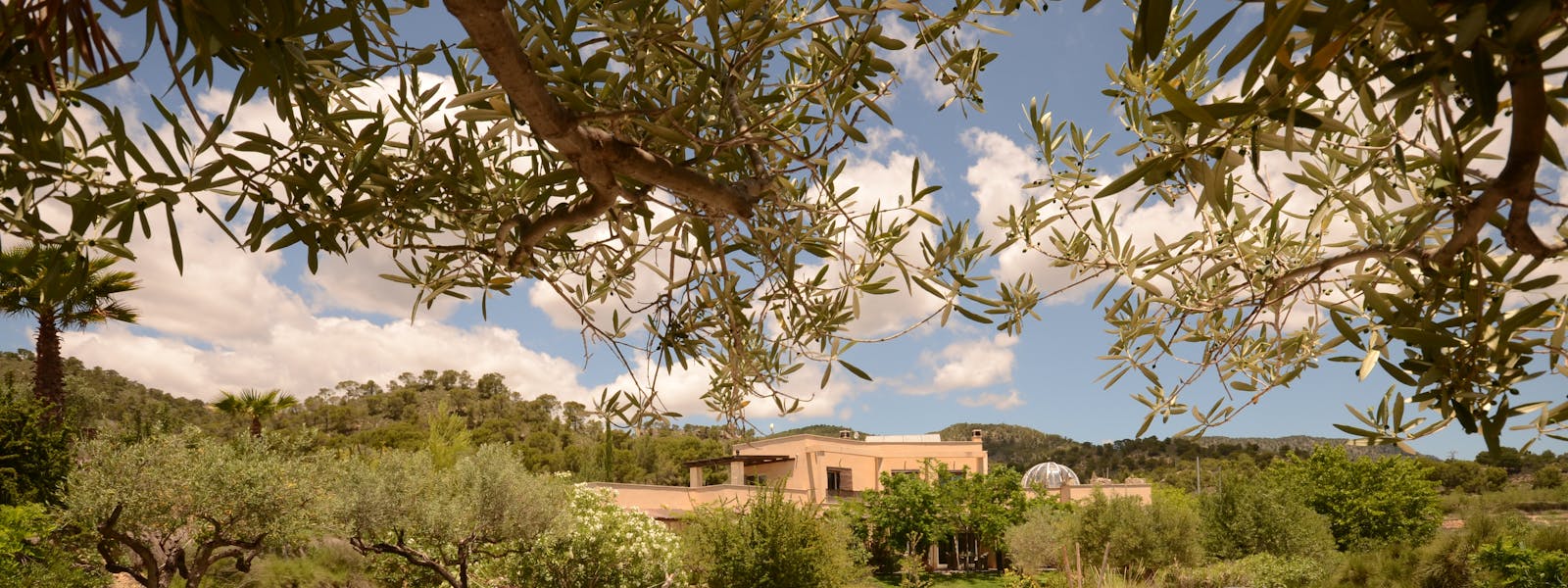 El Pao Spa - imagen 4