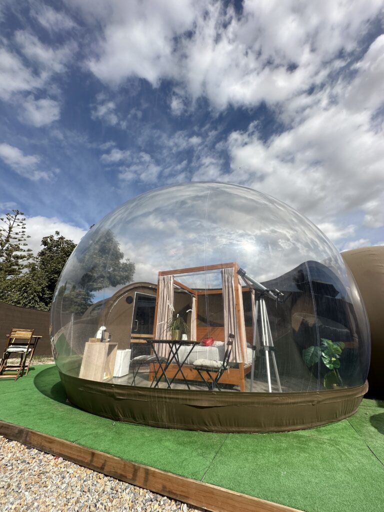 Estrella Polar - imagen 5