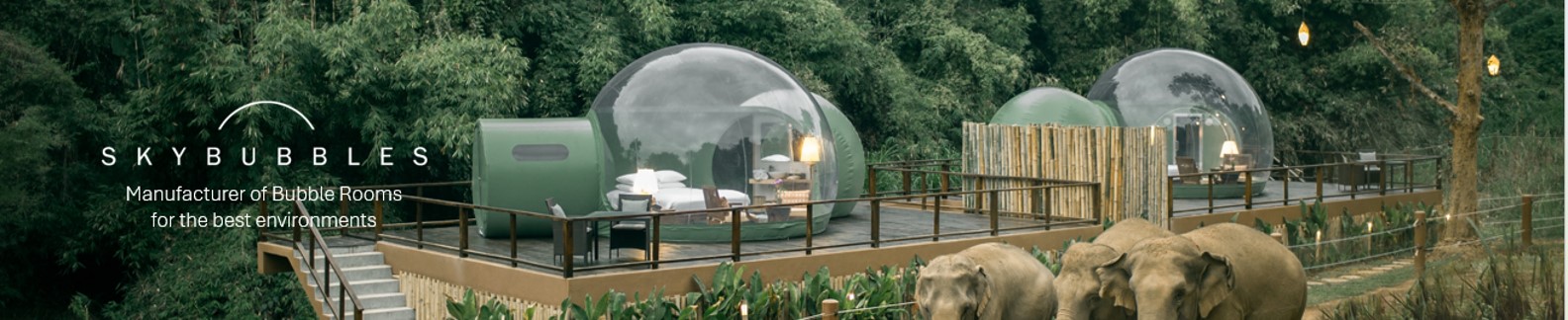 Desde mi Cielo - imagen 5