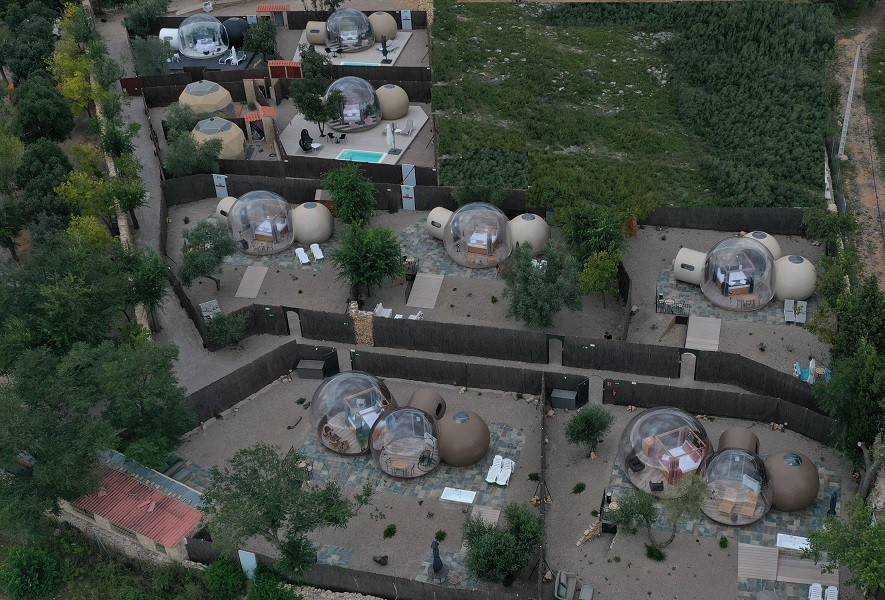 Zielo de Levante - imagen 3