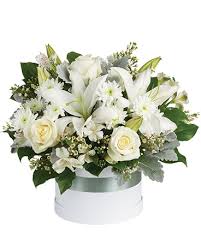Caja White