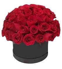 Caja con 50 rosas importadas