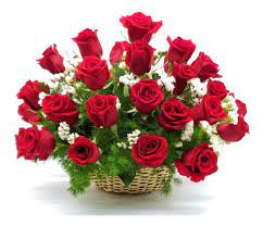 36 Rosas