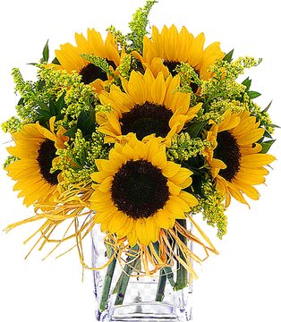 Cubo Bajo de Girasoles