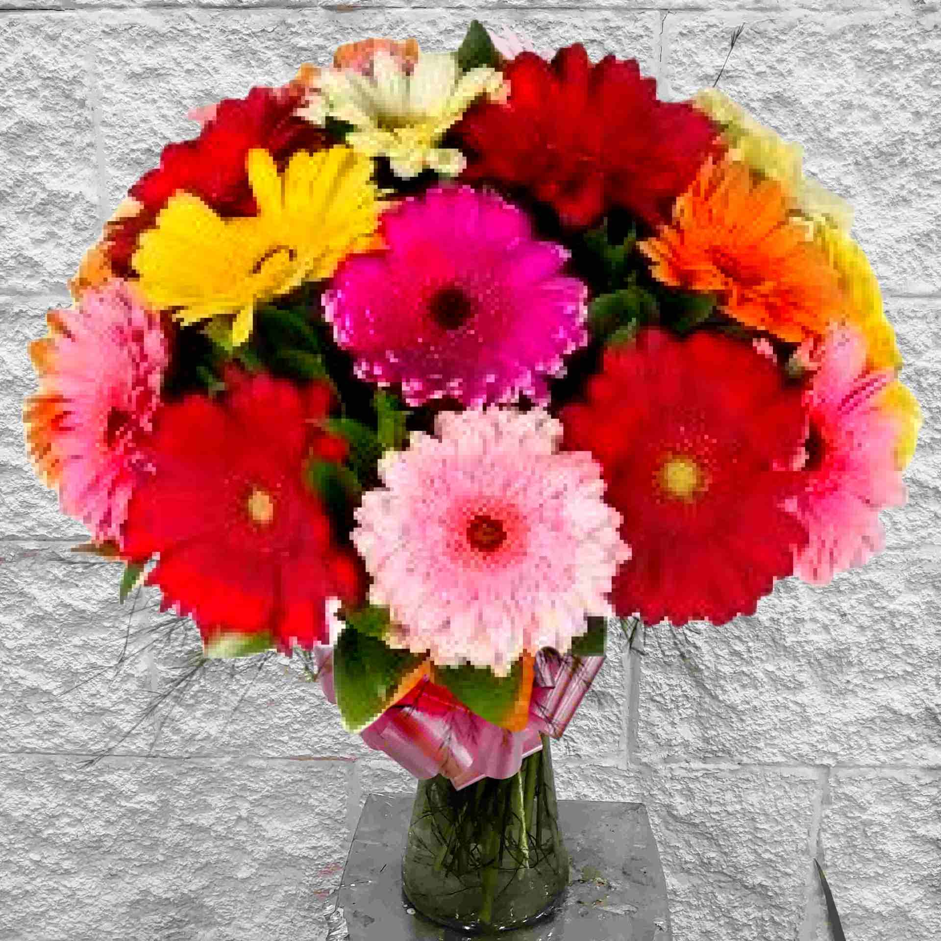 36 Gerberas