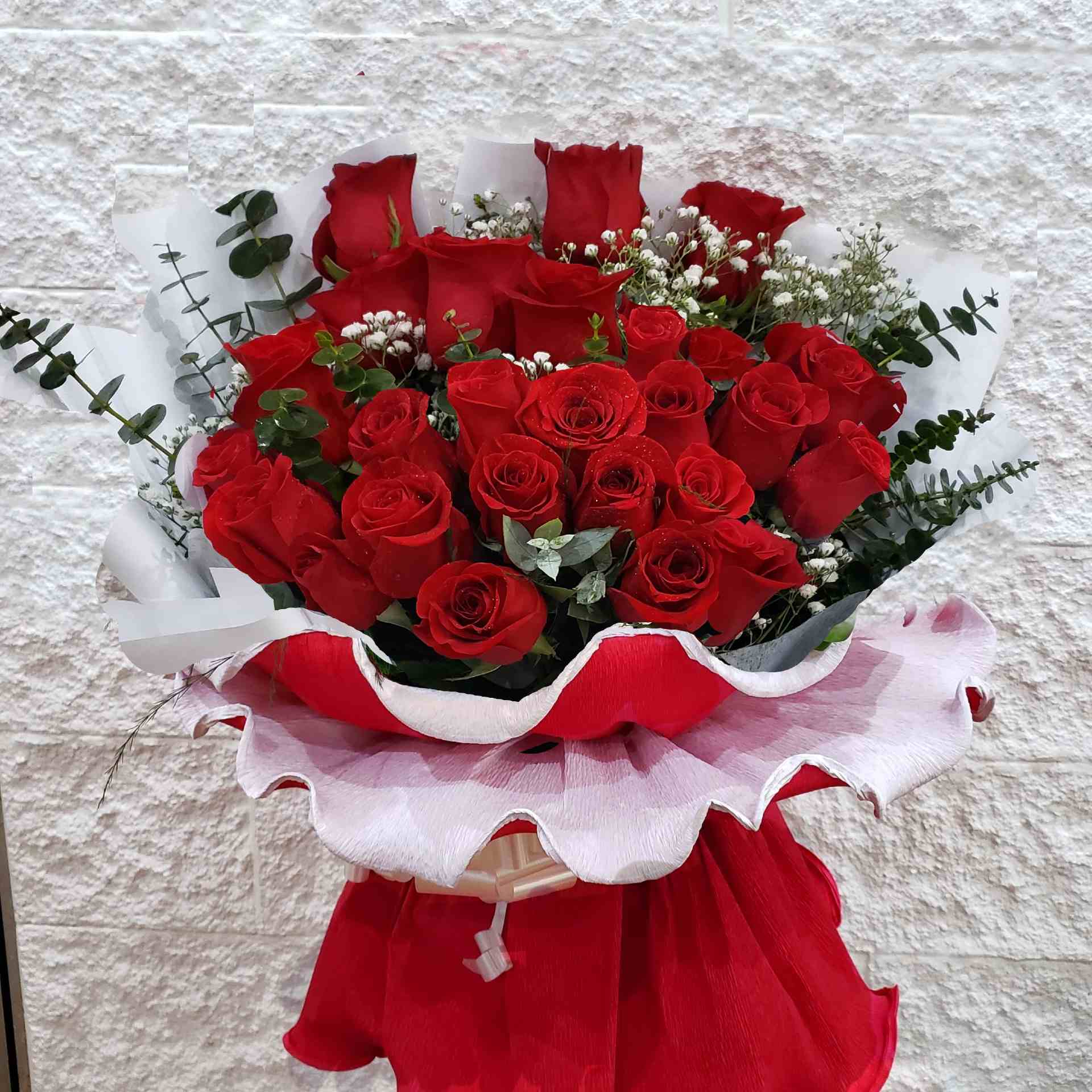 24 Rosas