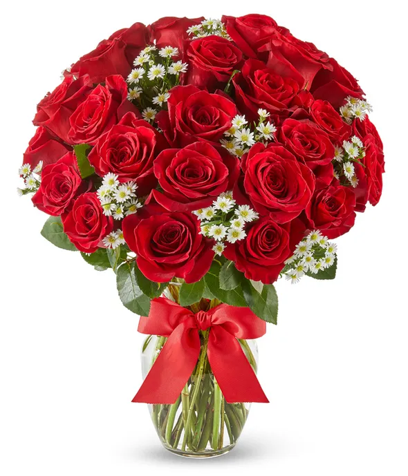 24 rosas 