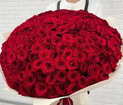 Ramo de 200 Rosas