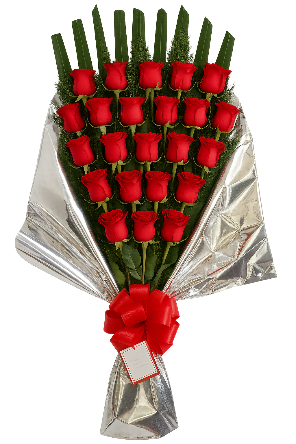 24 Rosas