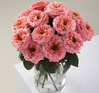 florero de 12 rosas de jardin