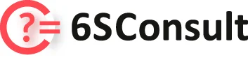 6 Consult logo