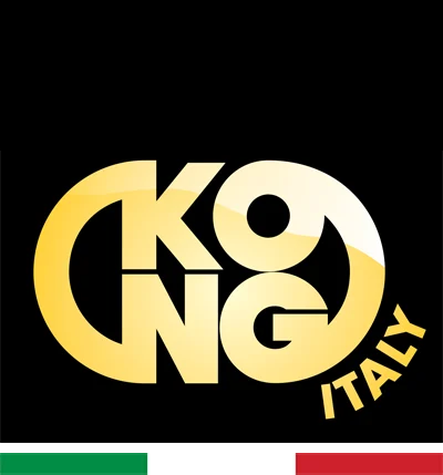 Kong S.p.A. logo