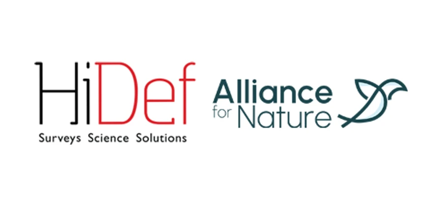 HiDef logo