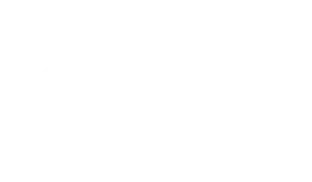 Blue Power Partners A/S logo