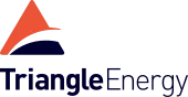 Triangle Energy logo