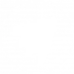 Blue Green Feather logo