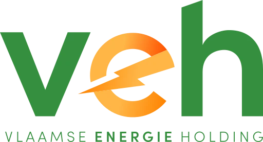 De Vlaamse Energieholding logo