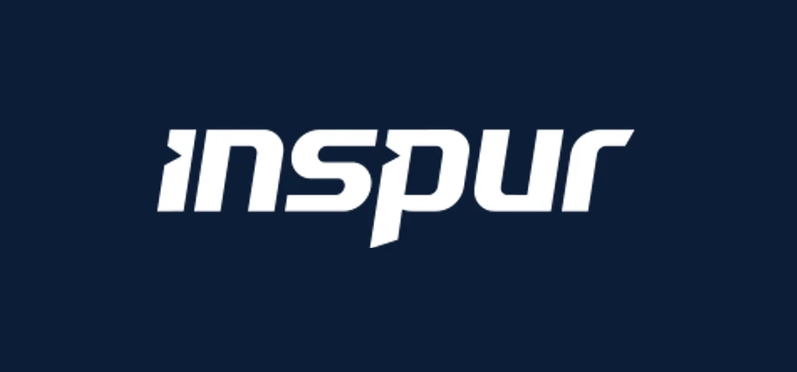 Inspur logo