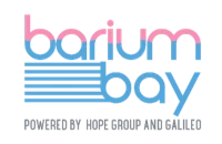 Barium Bay S.r.l. logo