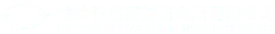 Tieling Five Star Sealing Research Institute Co., Ltd. logo