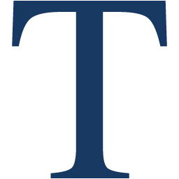 Triton Holding BV logo