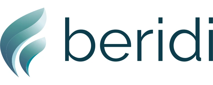 Beridi Maritime logo