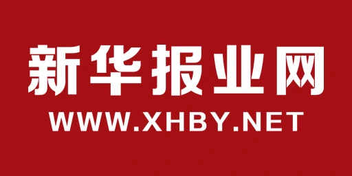 Xinhua Daily logo