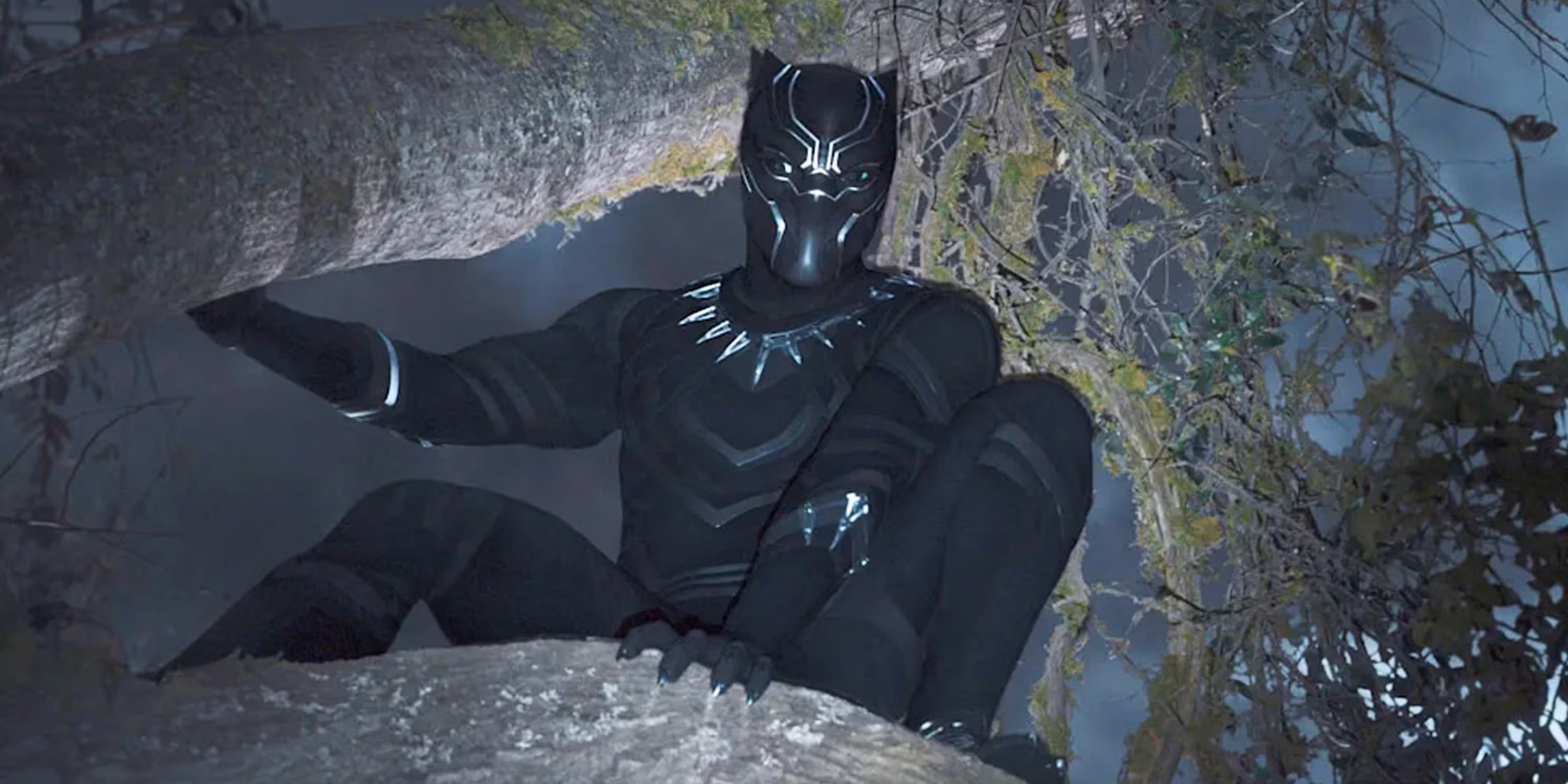 Black Panther 3 Is the Perfect Place for the X-Men's Storm to Debut cover image