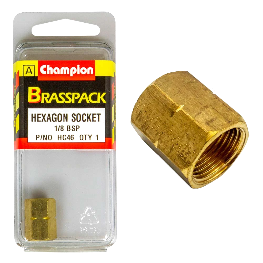Champion Brass 1/8in Hex Socket