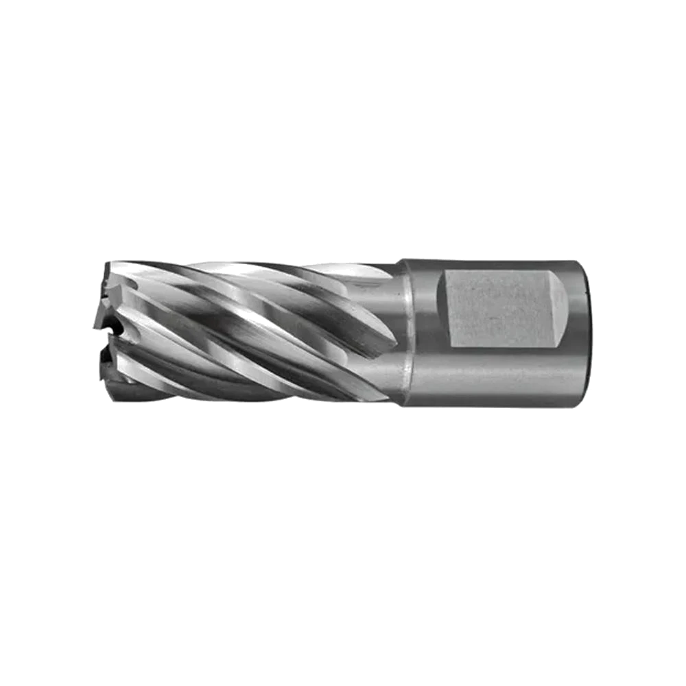 Holemaker Silver Series Annular Cutters 1 x 1in