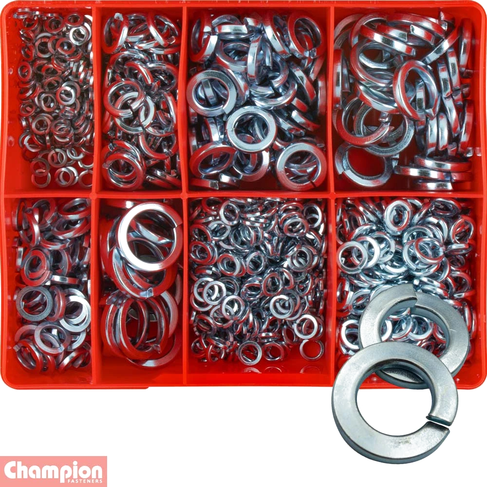 Champion 895pc Square Section Spring Washer Assortment