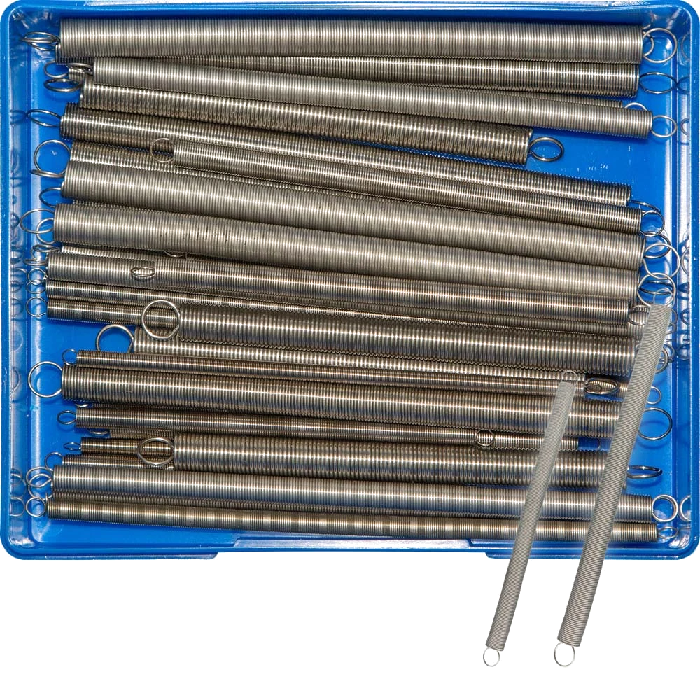 Champion 36pc Accelerator Spring Assortment – S/Steel