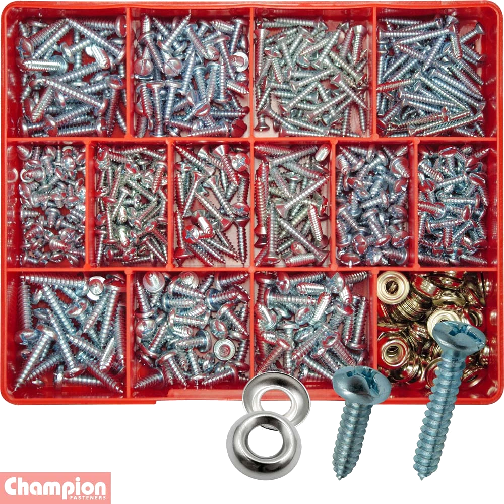 Champion 610pc Slotted Self Tapping Screw Assortment
