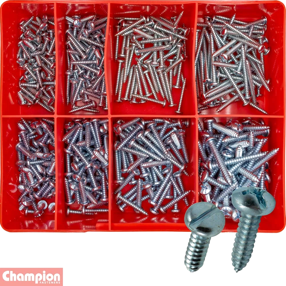 Champion 400pc Slotted Self Tapping Screw Assortment