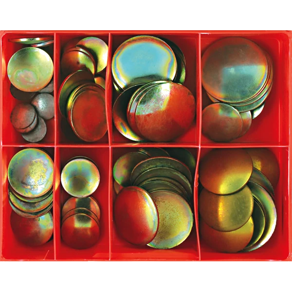 Champion 100pc Lens Type Steel Exp Plug Assortment****