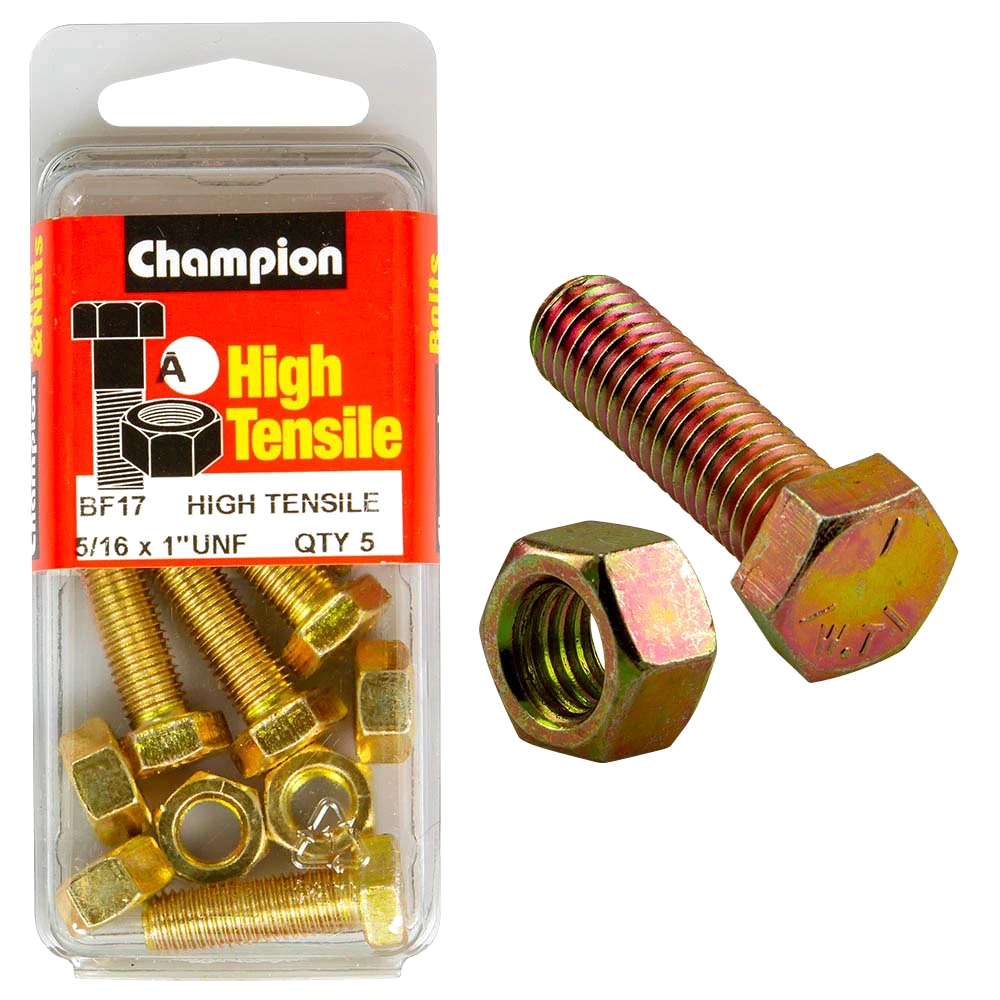Champion 1 x 5/16in Set Screw & Nut (A) - GR5