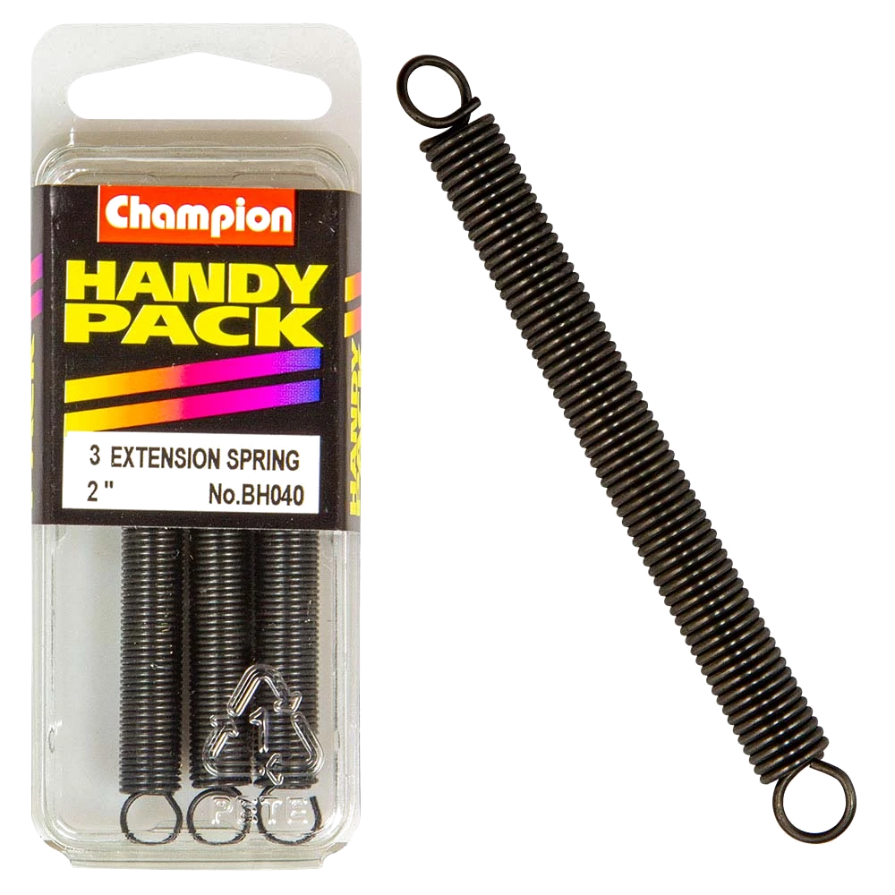 Champion 2 x 9/32 x 21G Extension Springs