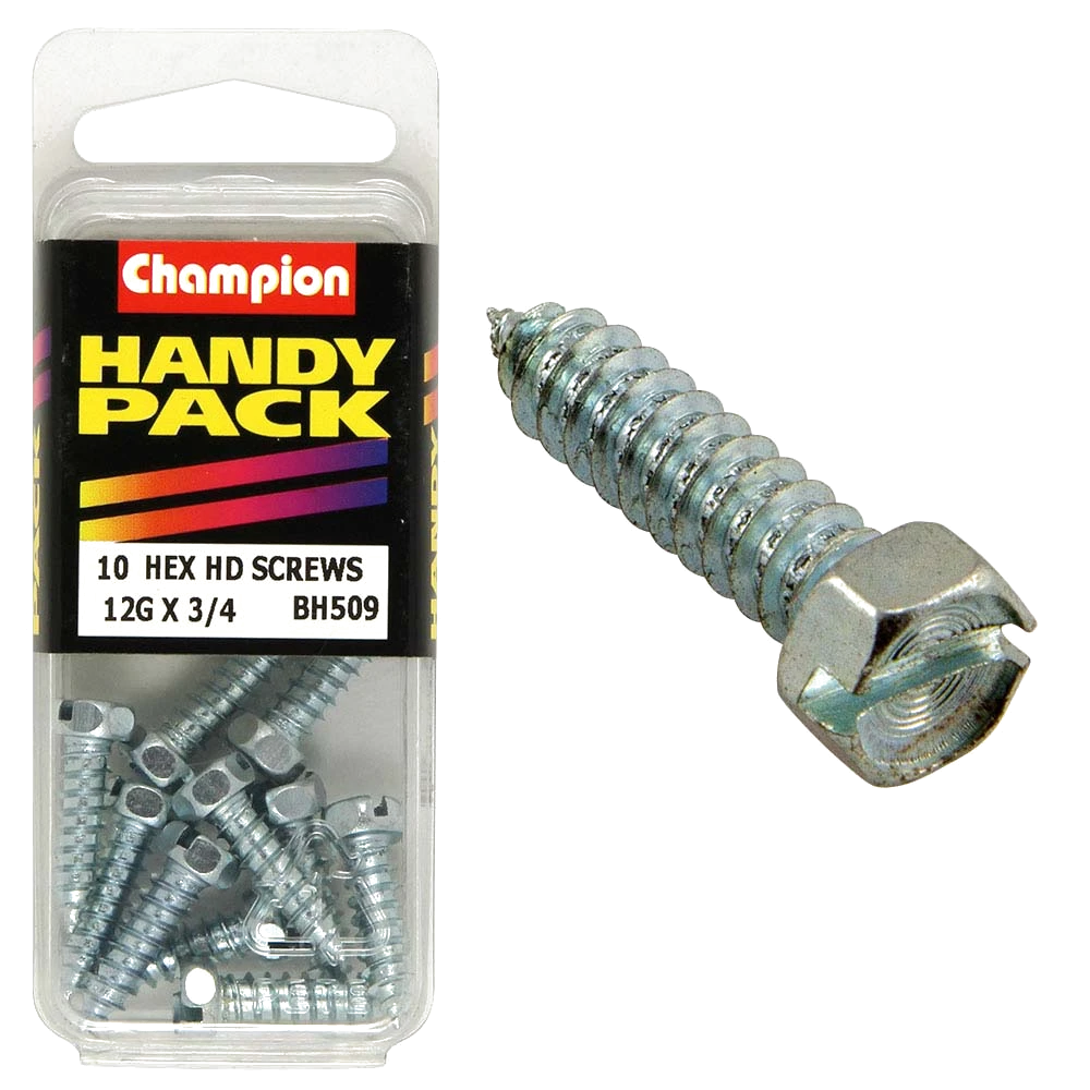 Champion 12G x 3/4in S/Tap Set Screw - Hex HD