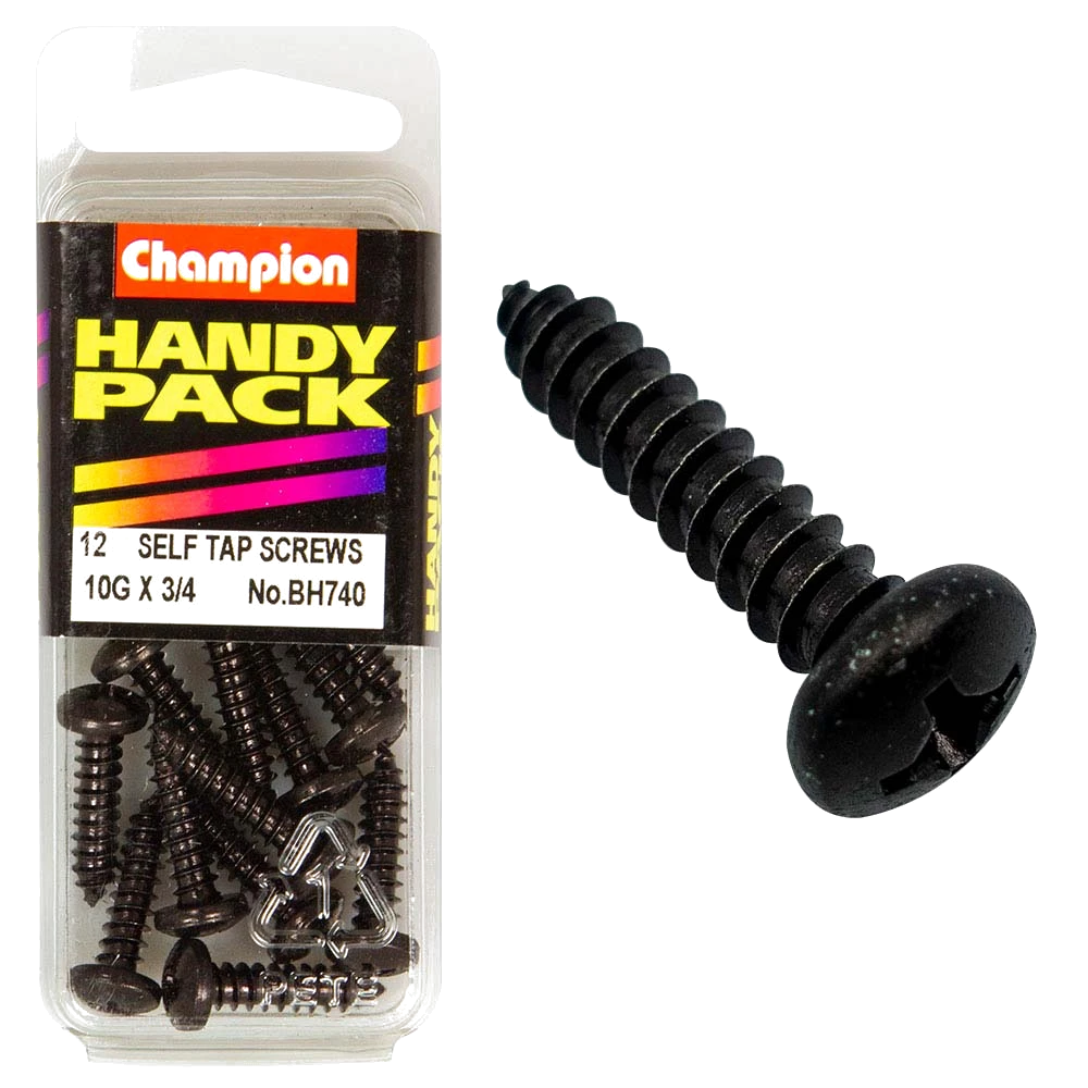 Champion 10G x 3/4in S/Tap Set Screw - Blk Zinc
