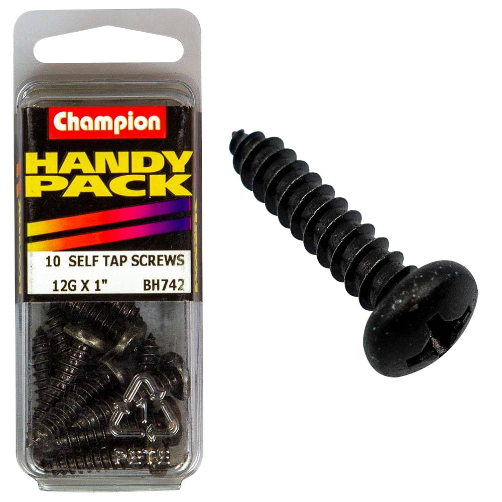 Champion 12G x 1 S/Tap Set Screw - Blk Zinc