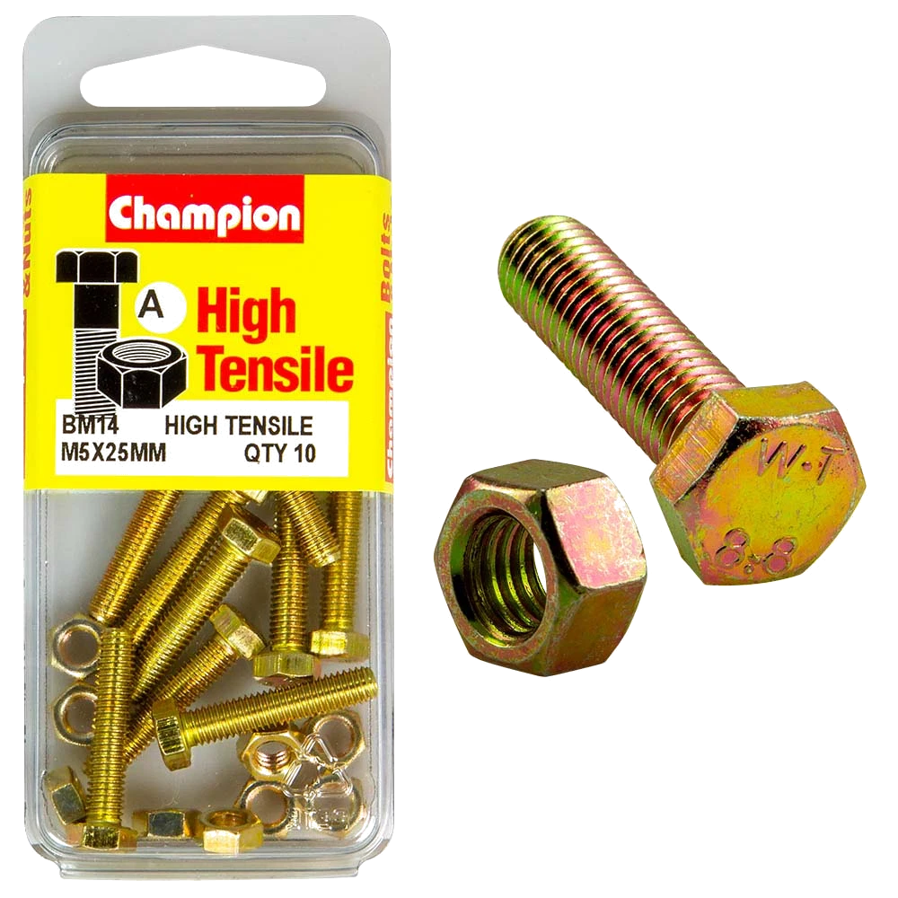 Champion M5 x 25 Set Screw & Nut (A) - GR8.8