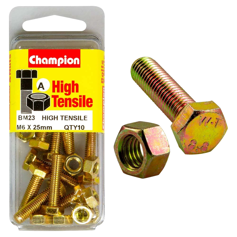 Champion M6 x 25 Set Screw & Nut (A) - GR8.8