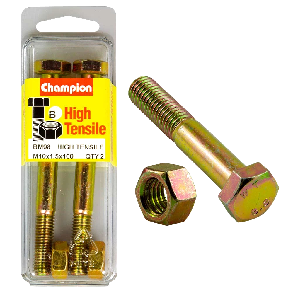 Champion M10 x 100 Bolt & Nut (B) - GR8.8