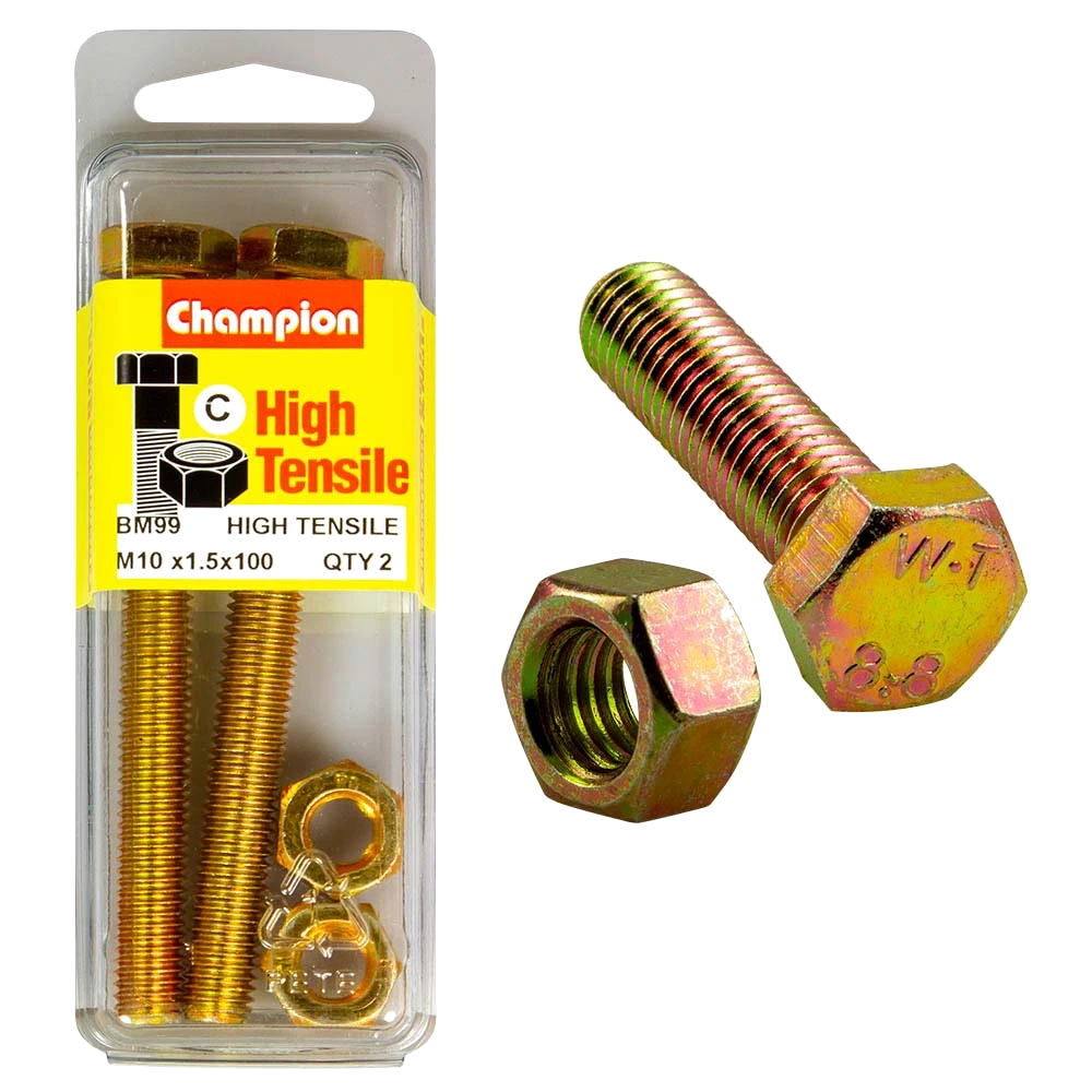 Champion M10 x 100 Set Screw & Nut (C) - GR8.8