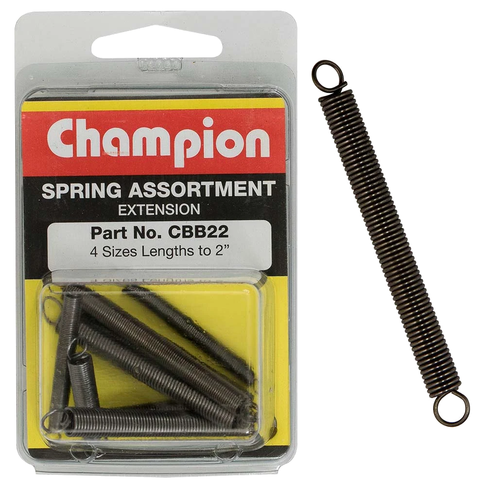 Champion 8Pc Extension Spring Assortment