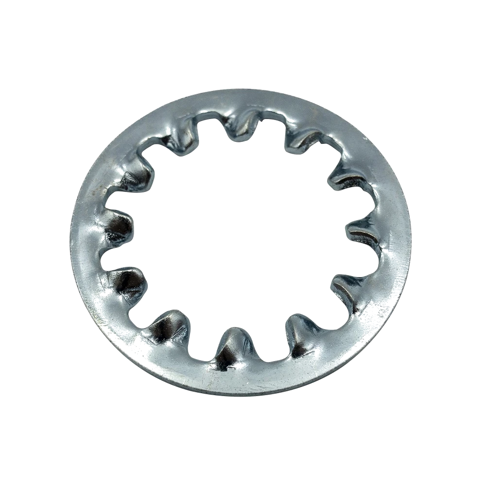 Champion 6mm Internal Star Washer - 100pk