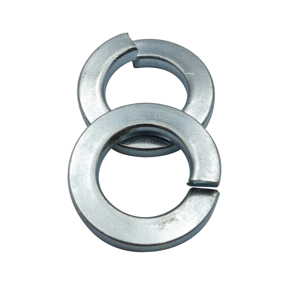 Champion 12mm Flat Section Spring Washer - 100pk